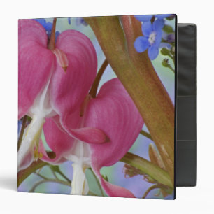 Detail of bleeding hearts and Brunnera Jack Binder