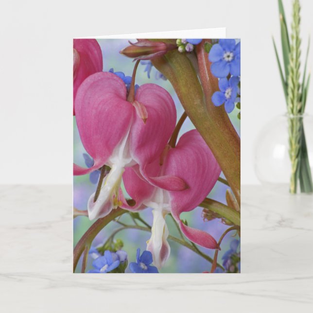 Detail of bleeding hearts and Brunnera Jack Card (Front)