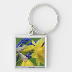 Detail of daffodil and hyacinth flowers. Credit Keychain