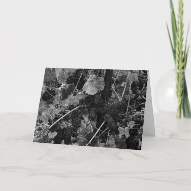 Detail of Grapes, Draper Vineyard, Napa, 1966 Card (Front)