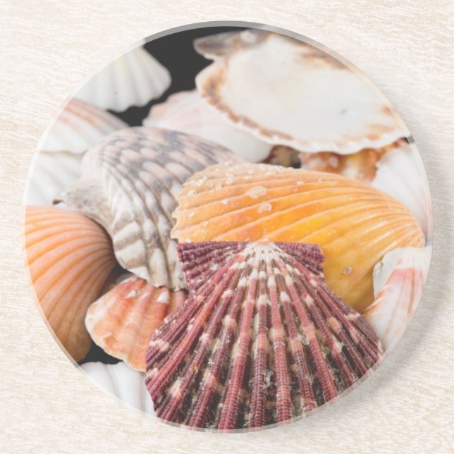 Detail Of Seashells From Around The World 2 Coaster (Front)