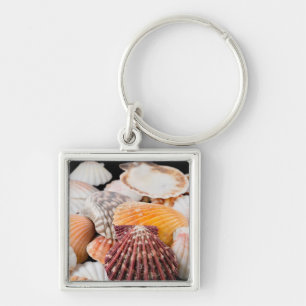 Detail Of Seashells From Around The World 2 Keychain