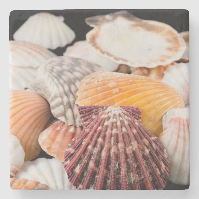 Detail Of Seashells From Around The World 2 Stone Coaster (Front)