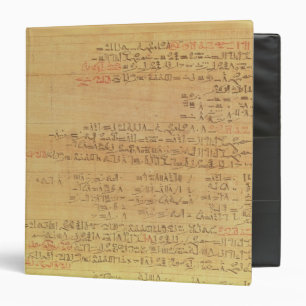 Detail of the Rhind Mathematical Papyrus Binder