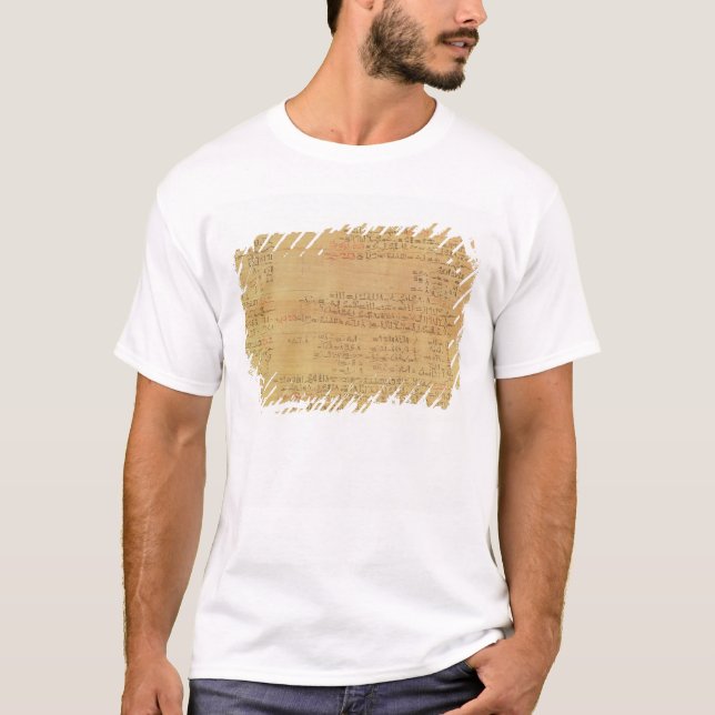 Detail of the Rhind Mathematical Papyrus T-Shirt (Front)