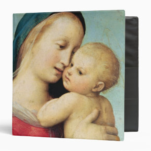 Detail of the 'Tempi' Madonna, 1508 Binder