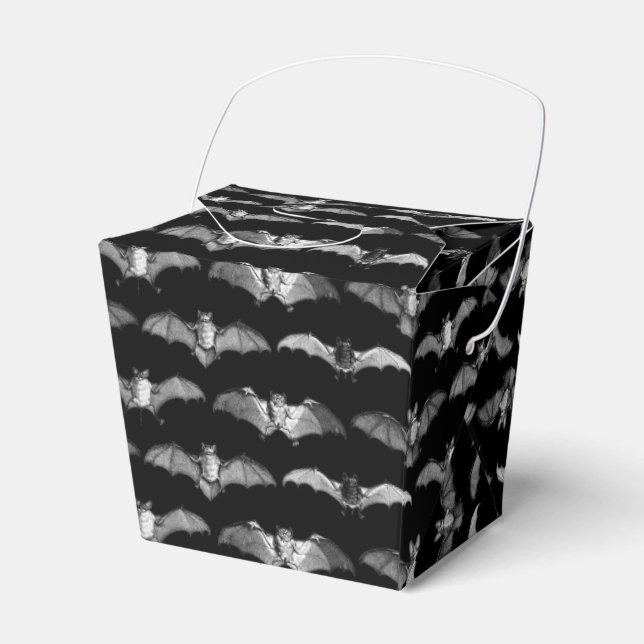 Detailed Bats Species Illustrations Pattern Black Favor Box (Front Side)