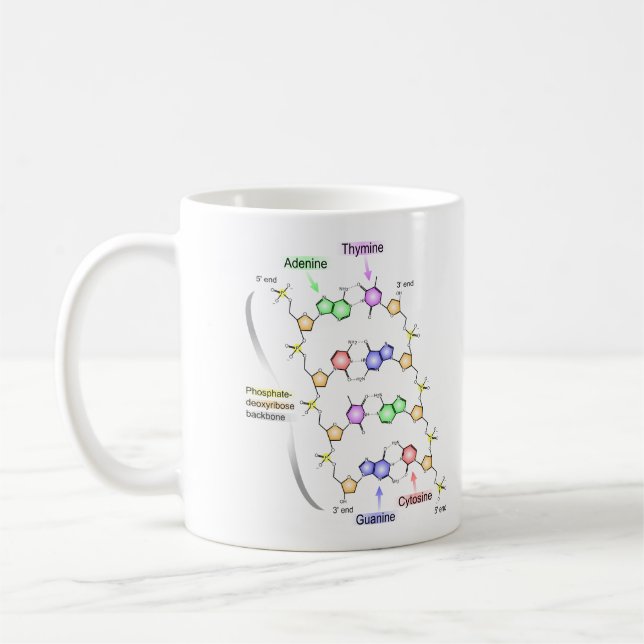 Detailed Diagram of the Chemical structure of DNA Coffee Mug (Left)