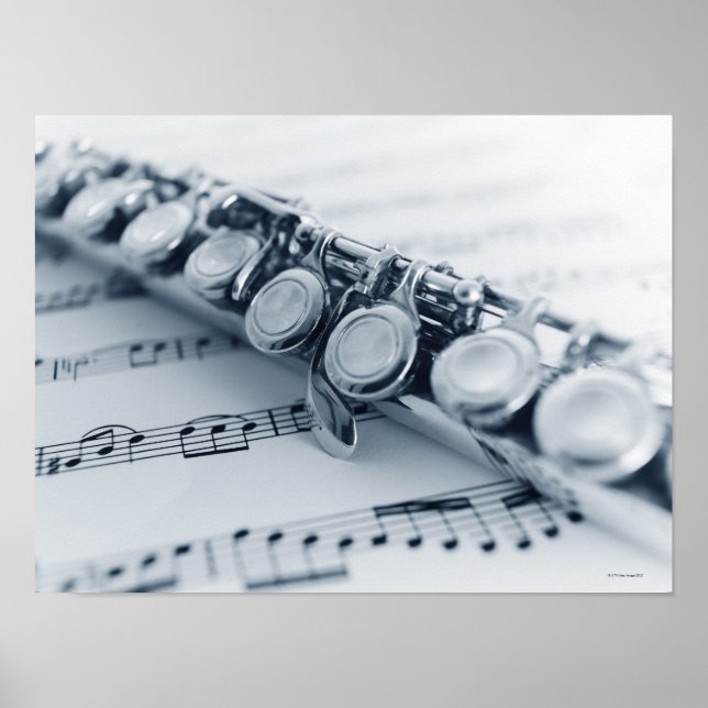 Detailed Flute Poster (Front)