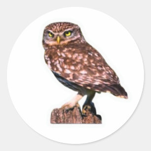 ​Detailed Great Horned Owl Decal - Wilderness Natu Classic Round Sticker