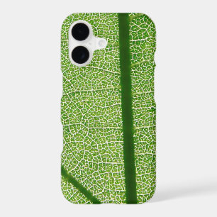 Detailed Look at a Green Leaf