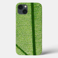Detailed Look at a Green Leaf