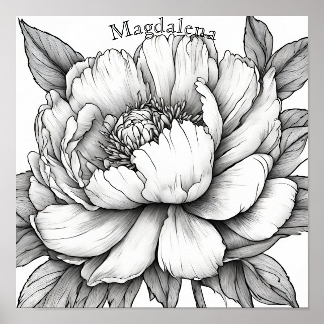 Detailed Peony Flower Close Up Name Colouring Poster (Front)