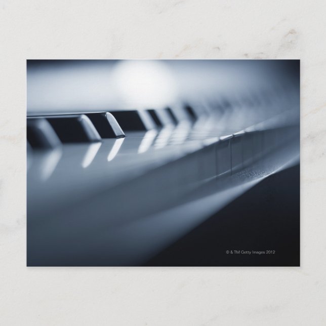Detailed Piano Keys 2 Postcard (Front)