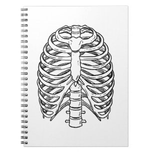 Detailed Rib Cage Anatomy Line Art Notebook