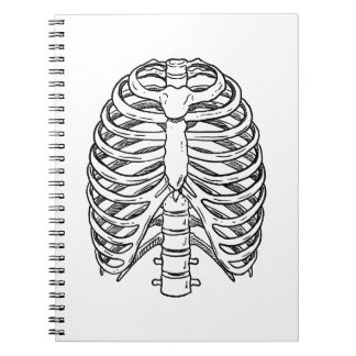 Detailed Rib Cage Anatomy Line Art Notebook