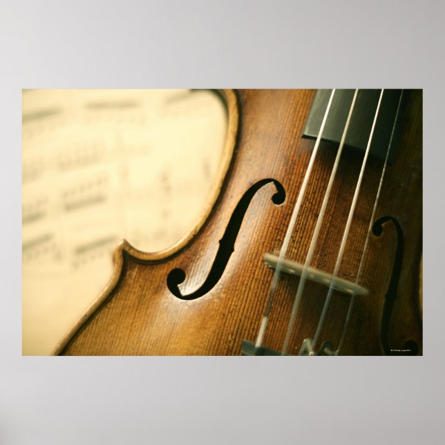 Detailed Violin Poster (Front)