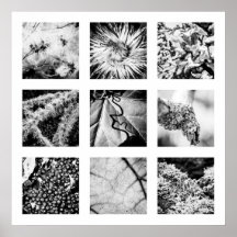 Détails de la série Nature - Détails Poster