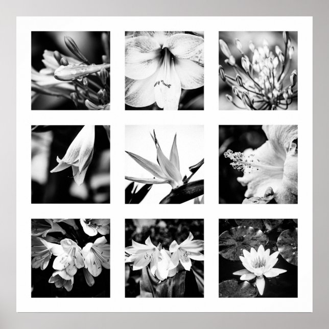 Détails de la série Nature - Poster des fleurs (Devant)