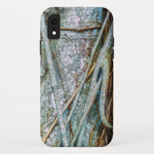Details of a Florida Strangler Fig iPhone XR Case