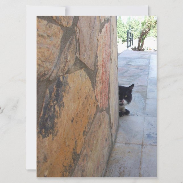 DETECTIVE CAT BEHIND THE STONE WALL ( (Front)