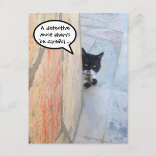 DETECTIVE CAT BEHIND THE STONE WALL / Father's Day Postcard