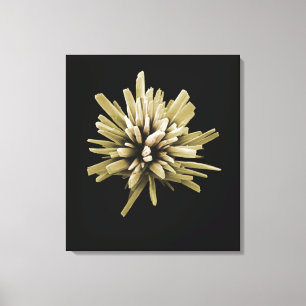 Detergent Crystal Canvas Print