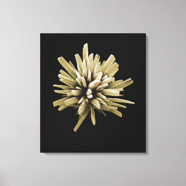 Detergent Crystal Canvas Print (Front)