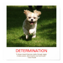 DÉTERMINATION affiche démotivationnelle