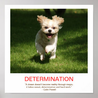 DÉTERMINATION affiche démotivationnelle