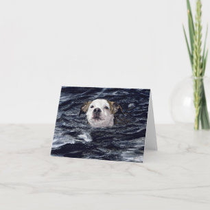 "Détermination" - Carte de chien de bain