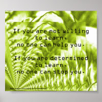 Determination - poster