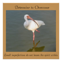 Determine To Overcome - 20"x 20" Poster