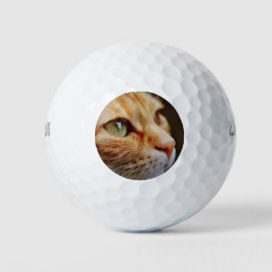 Determined Face of a Ginger Cat Golf Balls