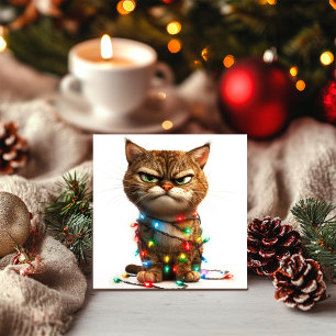 Determined Grumpy Christmas Cat Holiday Card