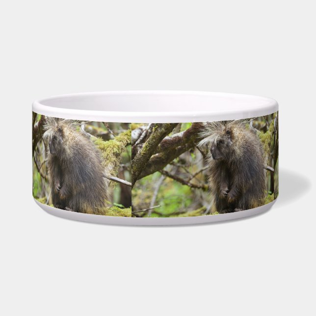 Determined Porcupine (Left)