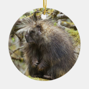 Determined Porcupine Ceramic Ornament