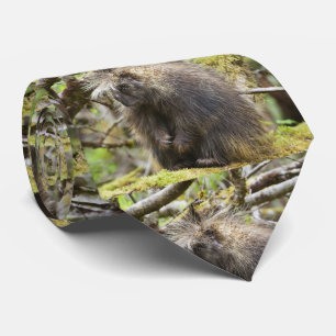 Determined Porcupine Tie