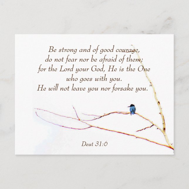 Deut 31:6 You are Not Alone Bible Kingfisher Bird Postcard (Front)