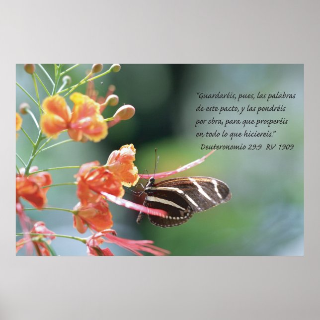 Deuteronomio 29:9 Cartel Poster (Front)