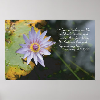 Deuteronomy 30:19 Scripture Print