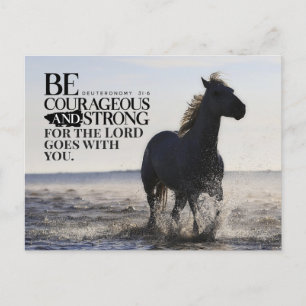 Deuteronomy 31:6 Be Courageous and Strong Horse  Postcard