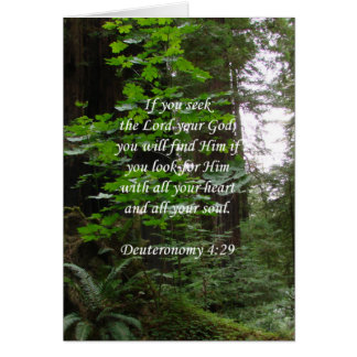 Deuteronomy 4:29 ~ Seek the Lord
