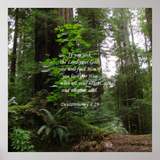 Deuteronomy 4:29 ~ Seek the Lord Poster