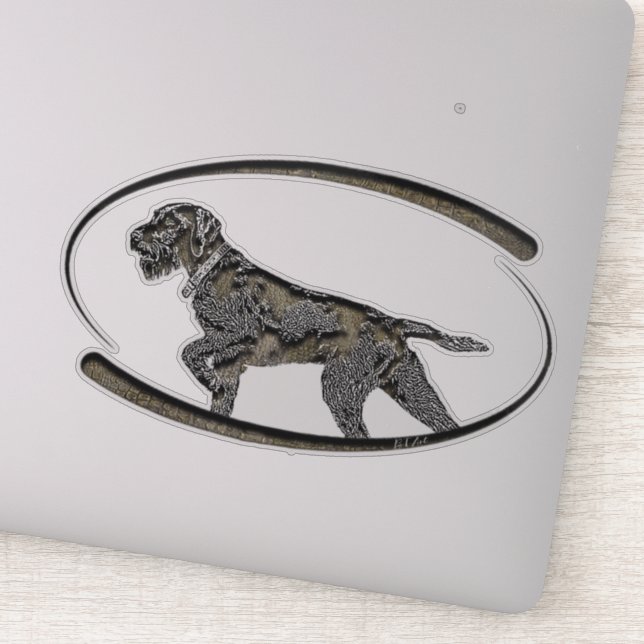 Deutsch Drahthaar , Best gun dog  (Detail)