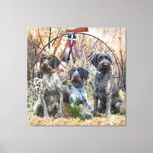 Deutsch Drahthaar    Canvas Print