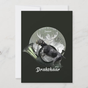 Deutsch Drahthaar  Holiday Card