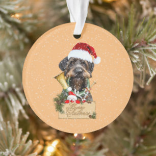 Deutsch Drahthaar, Joyeux Noël ! Bouton magnétique