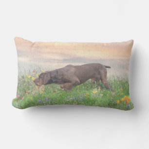 Deutsch Drahthaar Lumbar Pillow