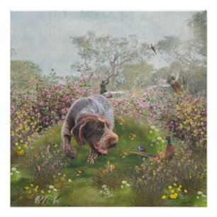 Deutsch Drahthaar    Poster